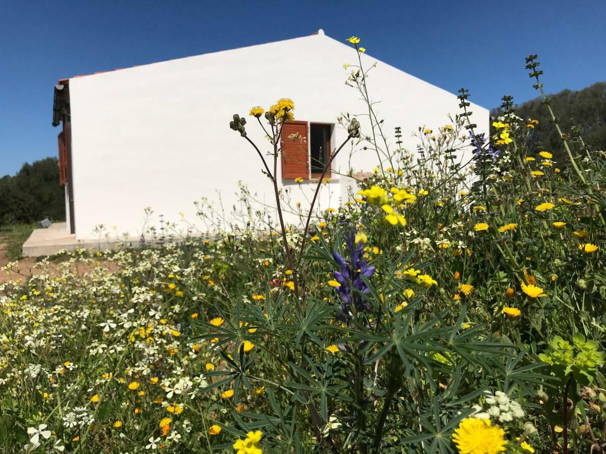 La Piana Holiday House Bassacutena Exterior foto